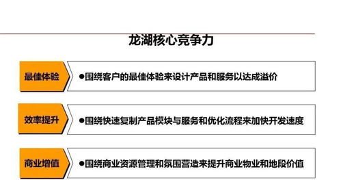 龍湖企業(yè)精細(xì)化管理 運(yùn)營(yíng)之道與卓越實(shí)踐